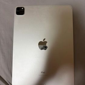 Apple iPad pro 11インチ 第2世代 128GB