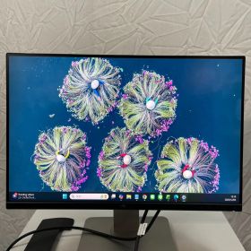 DELL / デル U2415b 24インチモニター 19年製 【522】