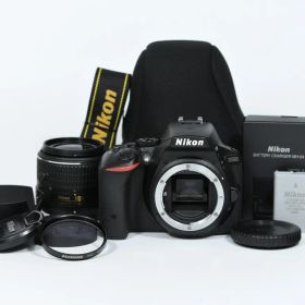 【超美品】 ニコン Nikon D5500 レンズキット