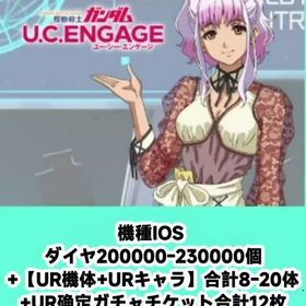 機種IOS ダイヤ200000-230000個+【UR機体+URキャラ】合計8-20体+UR确定ガチ | ガンダムUCエンゲージ(ガンダムUCE)のアカウントデータ、RMTの販売・買取一覧