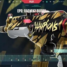 引退垢｜チャンピオン2021〜2024＆限定スキンほぼ全所持｜最高ランクレディアント | VALORANT(ヴァロラント)のアカウントデータ、RMTの販売・買取一覧