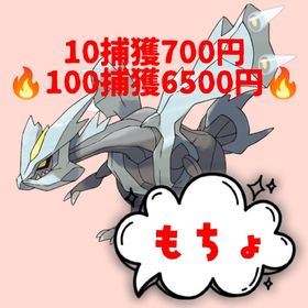 シンジ様専用 | ポケモンGOのアカウントデータ、RMTの販売・買取一覧
