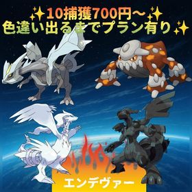 エワ砂様専用 | ポケモンGOのアカウントデータ、RMTの販売・買取一覧