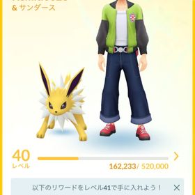 TL40 引退垢 | ポケモンGOのアカウントデータ、RMTの販売・買取一覧