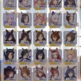 【値段相談多少可】ウマ娘 引退 人権 サポカ 完凸 廃課金 | ウマ娘のアカウントデータ、RMTの販売・買取一覧