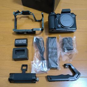 パナソニック LUMIX DC-S5M2X ボディビデオセット s5iix