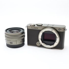 《美品》Panasonic LUMIX S9 広角ズームレンズキット DC-S9N-N ゴールド