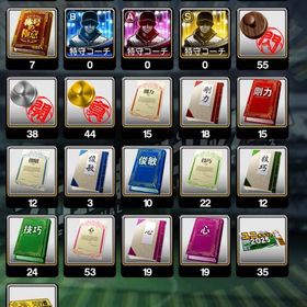 引退垢 リアタイ向き 極 多数 | プロスピAのアカウントデータ、RMTの販売・買取一覧