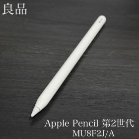 良品 正常動作確認 Apple Pencil 第2世代 MU8F2J/A r12