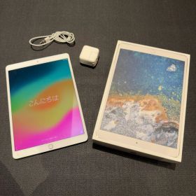iPad Pro 10.5インチ256MB 付属品全てあり 画面割れあり
