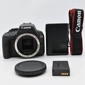 Canon EOS Kiss X7 ボディ ショット数 30125回