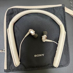 SONY WI-1000X(N)