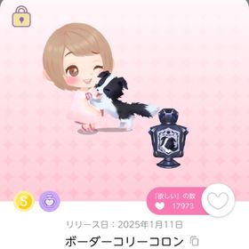 ボーダーコリーコロン 双子分 | ポケコロツイン(ポケツイ)のアカウントデータ、RMTの販売・買取一覧