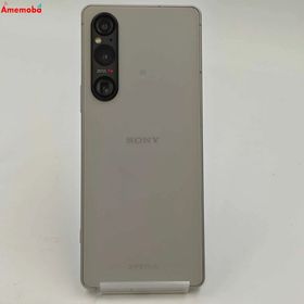 Xperia 1 V 16GB/512GB プラチナシルバー XQ-DQ44 SIMフリー ジャンク