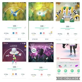 《PTCアカウント》💥伝説個体値💯：5体、✨色違い:23体、💥伝説:48体 | ポケモンGOのアカウントデータ、RMTの販売・買取一覧