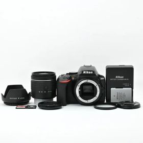 ＜良品＞ Nikon ニコン D5600 標準レンズキット AF-P 18-55 VR｜シャッター数4345枚｜ファインダー小ゴミ・レンズ内カビ有｜64GBカード付