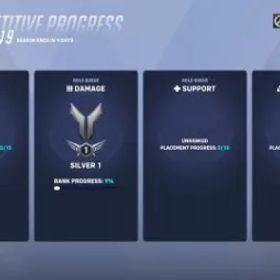 ✅ S19シルバー丨 ダメージ