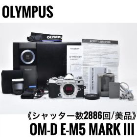 OLYMPUS OM-D E-M5 MarkⅢ ボディシャッター2886回