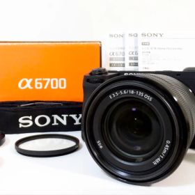 超美品 ◆ショット数:607回◆ SONY α6700 18-135mm 箱付き