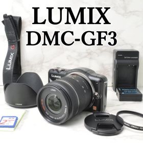 美品 ショット数新品級 LUMIX DMC-GF3⭐️ミラーレス ルミックス