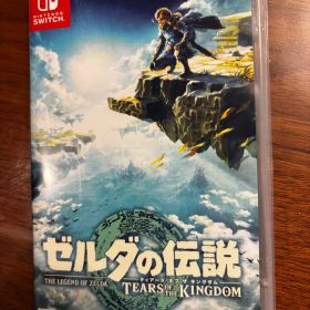 ゼルダの伝説 ティアーズ オブ ザ キングダム
