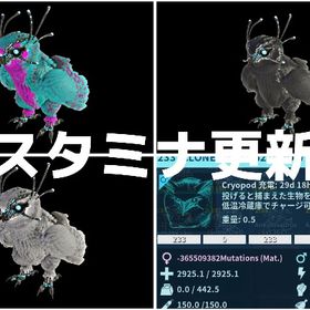 RARE SUPPORT 最新雪フクロウスタミナ更新 12/5 | ARK Survival Evolvedのアカウントデータ、RMTの販売・買取一覧