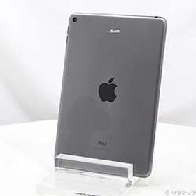 iPad mini 第5世代 256GB スペースグレイ MUU32J／A Wi-Fi ［7.9インチ液晶／A12 Bionic］