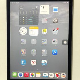 ♪ iPad mini 第5世代 64GB スペースグレー Wi-Fi ♪