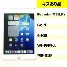 【キズあり品】iPad mini (第5世代) Wi-Fi/64GB/DMPYF11JLM95