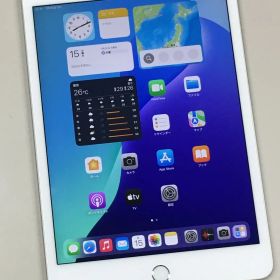 【動作確認・初期化済み】美品 電池81％ SIMフリー Apple iPad mini 第5世代 64GB シルバー