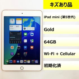 【キズあり品】iPad mini (第5世代) Wi-Fi + Cellular/64GB/353178103055239