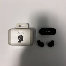 SONY WF-1000XM4