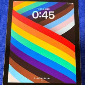 iPad (第6世代) Cellular SIMフリー