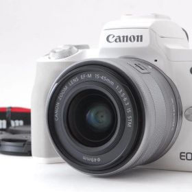 ✨極美品✨キャノン EOS Kiss M❤️Wi-Fi&自撮り❤️高性能ミラーレス！