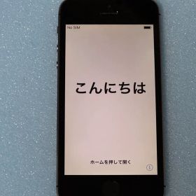 iPhone5S 64GB スペースグレイ docomo 本体のみ