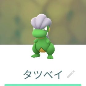 色違いタツベイ トレード | ポケモンGOのアカウントデータ、RMTの販売・買取一覧