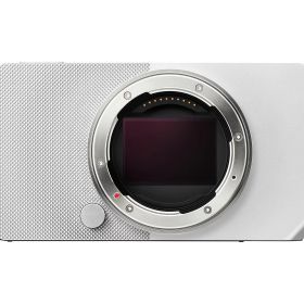 【受発注商品】シグマ BF シルバー ボディ