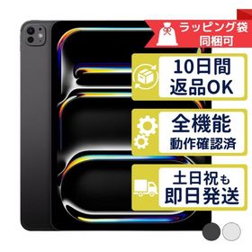 iPad Pro 13インチ M5 256GB APPLE Wi-Fi + Cellular SIMフリー 中古 Aランク 商品補償100日間 APPLE版SIMフリーorキャリア判定○品