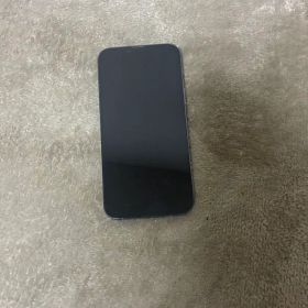 Apple iPhone 13 ProMax