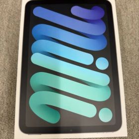 iPad mini (第6世代) 256GB Cellular SIMフリー