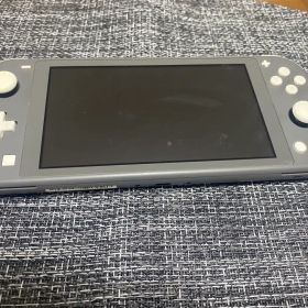 Nintendo Switch Lite 本体 グレー 充電器