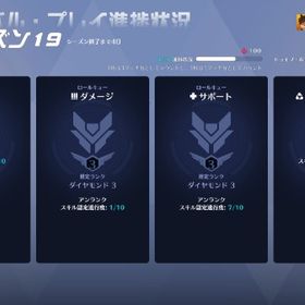 ow2 pcアカウント リーグスキン多数 | オーバーウォッチ2(OW2)のアカウントデータ、RMTの販売・買取一覧