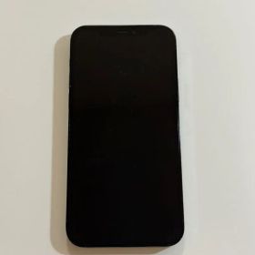 Apple iPhone 12 Pro パシフィックブルー 256GB