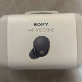 【新品未開封】SONY WF-1000XM5 ソニー ワイヤレスイヤホン