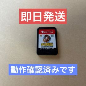 ★迅速発送可能★美品 Nintendo Switch ダービースタリオン
