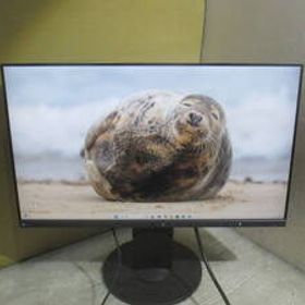 [H3-5/E71025-1]美品★2019年製EIZO FlexScan EV2450 23.8インチ液晶モニター フルHD（1920x1080) 高さ調整 縦回転 使用時間：837h★