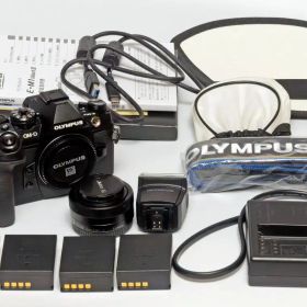 ★中古美品★OLYMPUS OM-D E-M1 Mark II★レンズ等