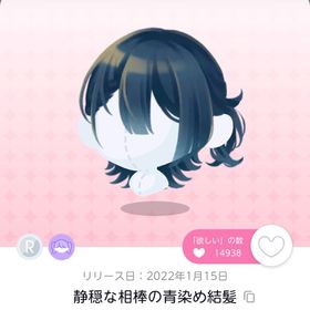 静穏な相棒の青染め結髪 | ポケコロツイン(ポケツイ)のアカウントデータ、RMTの販売・買取一覧