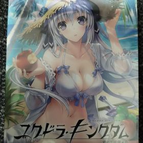 Switch ユグドラ・キングダム 完全生産限定版 未使用品