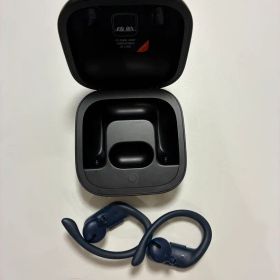 ジャンク品Powerbeats pro ワイヤレスイヤホン (イヤーピースなし)